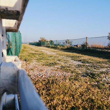 Agricampeggio Alessandra Torrenova  Eksteriør billede